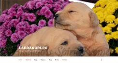 Desktop Screenshot of labradori.ro